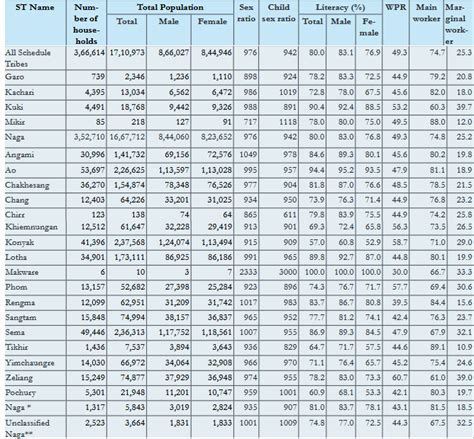 16 Major Tribes of Nagaland