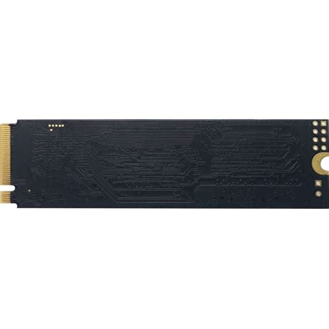 Buy Patriot Memory P300 128 GB Solid State Drive - M.2 2280 Internal ...