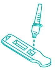 Sistema BD Veritor Plus - BD