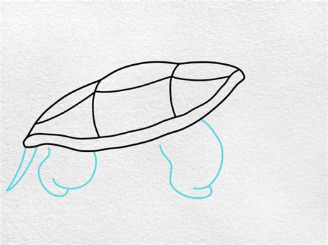 Image result for Snapping Turtle Drawing Easy