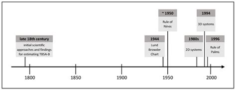 Technical and Medical Aspects of Burn Size Assessment and Documentation