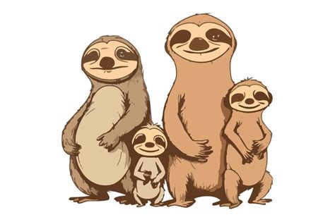 Image result for Sloth Family Tree