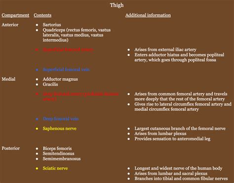 Lower Extremity Amputations - SURGERY STUDENT