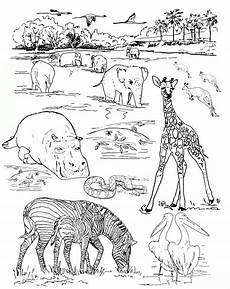 malvorlagen zoo ausmalbilder malmichaus ausmalbild malvorlage zoo 1 ausmalbilder malvorlagen zoo ausmalbilder malmichaus ausmalbild malvorlage zoo 1 ausmalbilder
