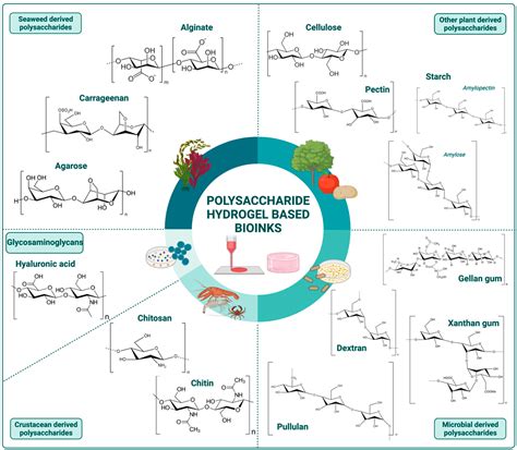 A Guide to Polysaccharide-Based Hydrogel Bioinks for 3D Bioprinting ...