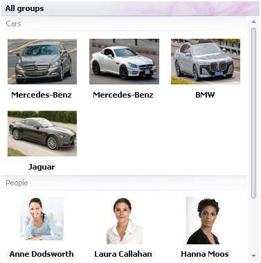 Image result for DevExpress Gallery Control