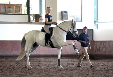 The Spanish Walk: classic exercise or circus trick? - The Works of Chivalry