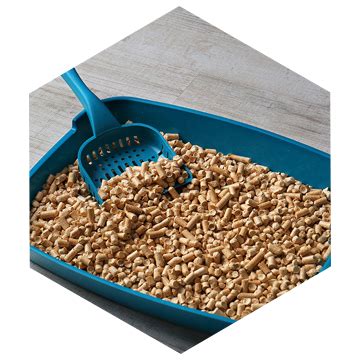 Bentonite | Ashapura Group Of Industries