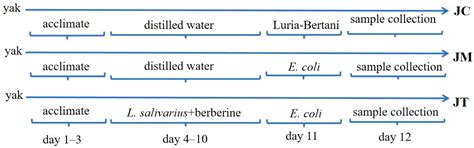 Lactobacillus salivarius and Berberine Alleviated Yak Calves’ Diarrhea ...