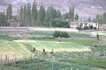 Ladakh's Scorching Summer: Experts Blame Rainfall Deficit for ...