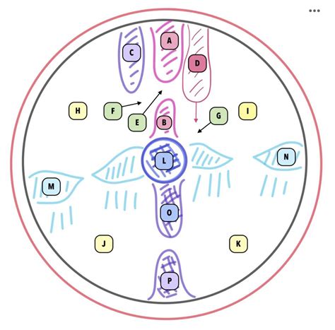 Image result for Graph Abstract Heart Development