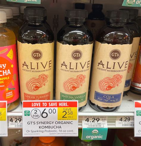 GT’s Alive Ancient Mushroom Elixir Just $2.50 At Publix - iHeartPublix