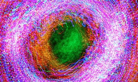 Atom Microscope 的图像结果