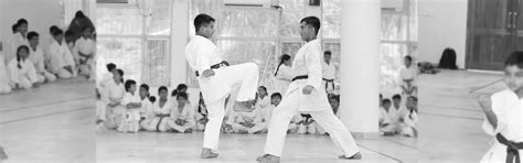 Universal Martial Arts