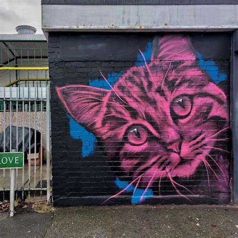 Image result for David Speed Weekend Update