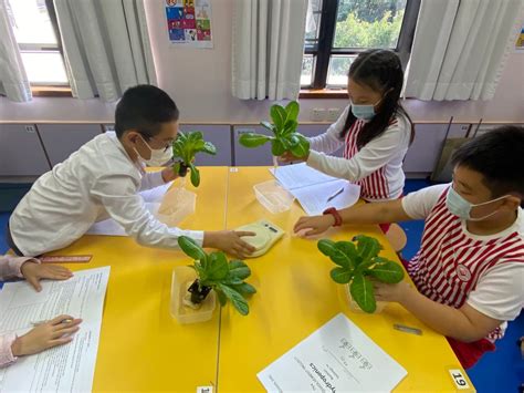 Primary School Science 的图像结果