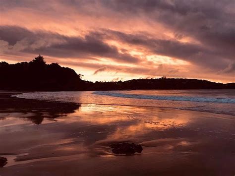 WAIHEKE IS FORAGE SAT 30 AUG 2025, Atawhai Whenua Reserve, Auckland, 30 ...