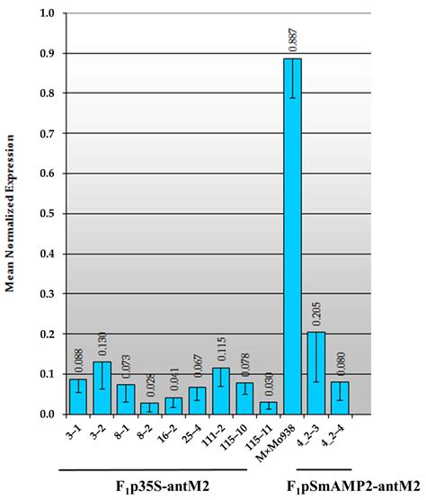 Effective RNAi-Mediated Silencing of the Mismatch Repair MSH2 Gene ...