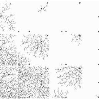 Image result for RRT Algorithm Example