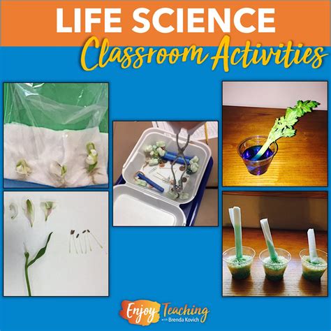 Image result for Life Science Examples
