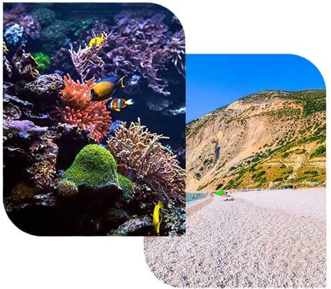 Ross and North Bay Island - Go Andamans