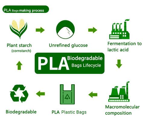 Biodegradable 的图像结果