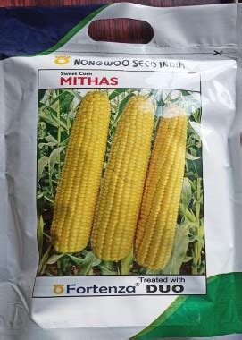 Sweet corn - Mithaas - Nongwoo Seeds