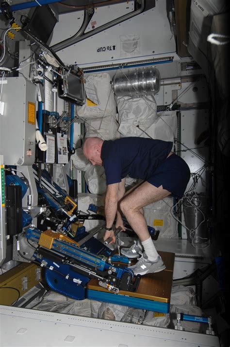 Alien Bacteria 的图像结果