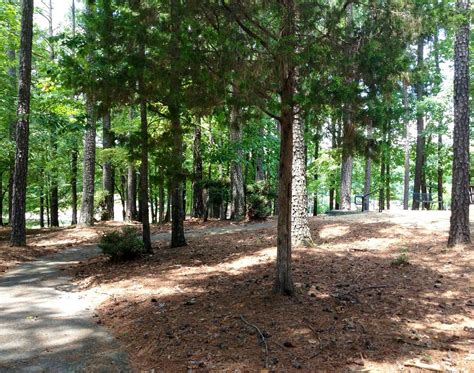 THE BEST Dunwoody Hotels with Rooftop Bar 2026 (with Prices)