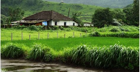 Agricultural Land Transform Into Non-Agricultural Purposes Is It Good?