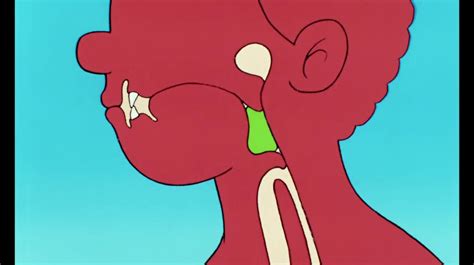 Il était une fois... la vie - La digestion | TV5MONDE Europe