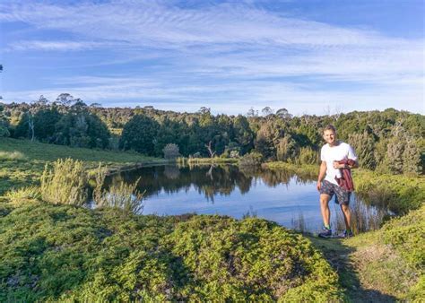 king billy track difficulty Android IOS V- 4.23