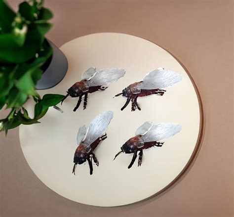 Buy BITONA® Mini Insects Honey Bee Fly Figure Playing Set for Kids or ...