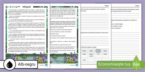 Acordul predicatului cu subiectul – Fișă clasa a IV-a