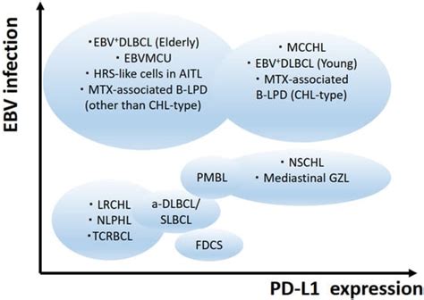 Hodgkin Lymphoma: Biology and Differential Diagnostic Problem