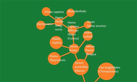Evolution Graph 的图像结果