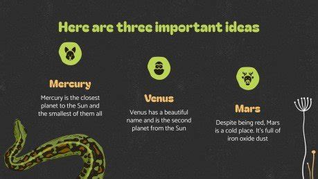 Image result for Are Python's Dangerous