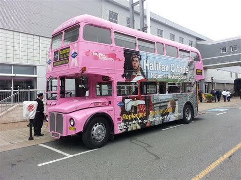 HALIFAX BIG PINK HOP ON HOP OFF TOUR (2025) All You Need to Know BEFORE ...