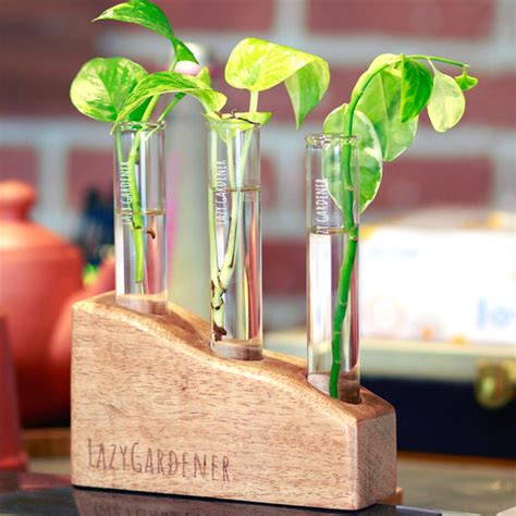 Timber Grove (Table Top Test Tube Planter) – Green Carpet
