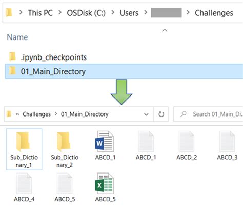Python File Directory 的图像结果