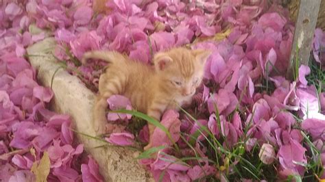 MONI ODIGITRIAS (2025) All You Need to Know BEFORE You Go (with Photos ...