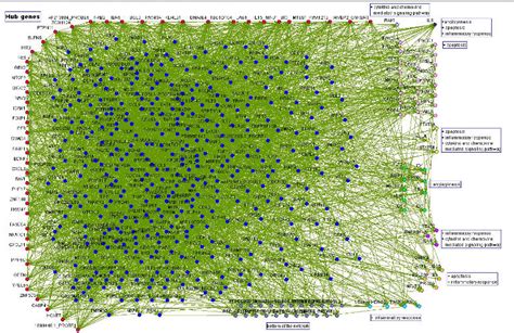 Image result for Genetic Mutation BrainPOP