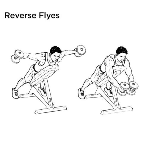 The 25 Best Rear Delt Exercises for Epicly Strong Shoulders - Radical ...