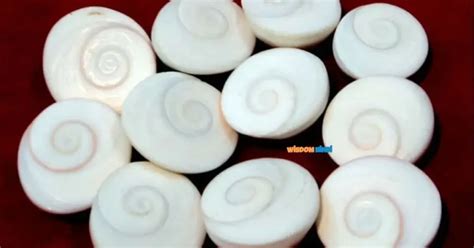 Papmochani Ekadashi Money Upay से मिलेगा अपार धन और समृद्धि