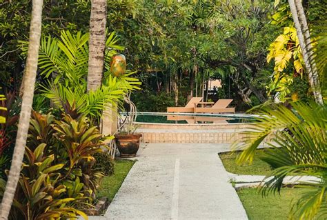 6 Tropical Landscape Design Ideas to Upgrade Your Lawn