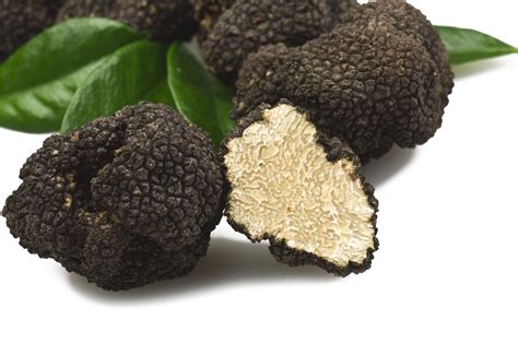 Fresh Truffles – Pannoniafood