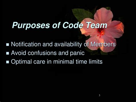Image result for Mock Code Team Roles