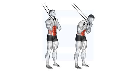 Image result for Frog Lift Exercise