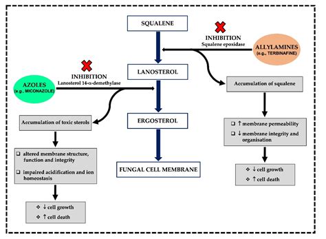 Emerging Trends in the Use of Topical Antifungal-Corticosteroid ...