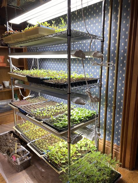 Build An Indoor Seed Starting Rack DIY Plant Shelf With Grow Lights To